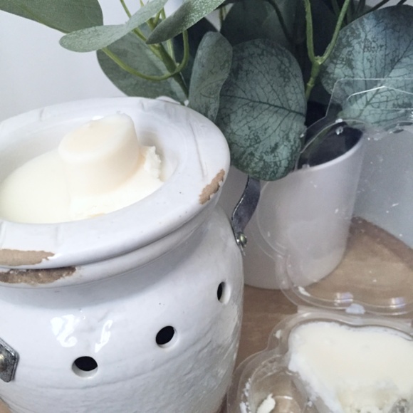 Paw Print Wax Melt/Apple Maple Bourbon Scent/Coconut Soy Wax/100% Vegan - Picture 4 of 4